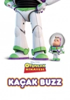 Kaçak Buzz 2011 Poster