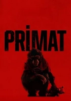 Primat 2025 Poster