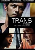 Trans 2013 Poster