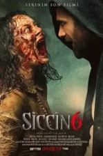 Siccin 6 (2019)