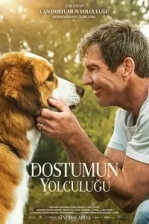 Dostumun Yolculuğu (2019)