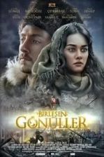 Birleşen Gönüller (2014)