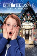 Evde Tek Başına 5 (2012)