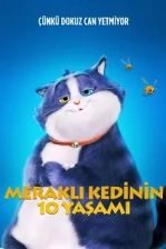 Meraklı Kedinin 10 Yaşamı (2024)
