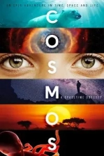 Cosmos (2014)