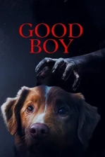 Good Boy (2025)