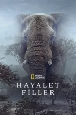 Hayalet Filler (2026)