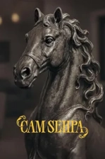 Cam Sehpa (2025)