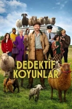Dedektif Koyunlar (2026)