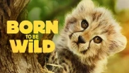 Born to Be Wild 1. Sezon 6. Bölüm Banner