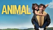 Animal 1. Sezon 9. Bölüm Banner