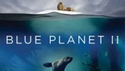 Blue Planet II 1. Sezon 1. Bölüm Banner