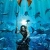 Aquaman Small Poster