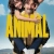 Animal Small Poster