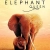 The Elephant Queen Small Poster