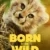 Born to Be Wild 1. Sezon 1. Bölüm Small Poster