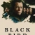 Black Bird Small Poster