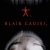 Blair Cadısı Small Poster