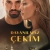 Dayanılmaz Çekim Small Poster